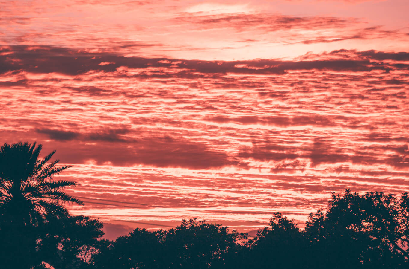 10 blog